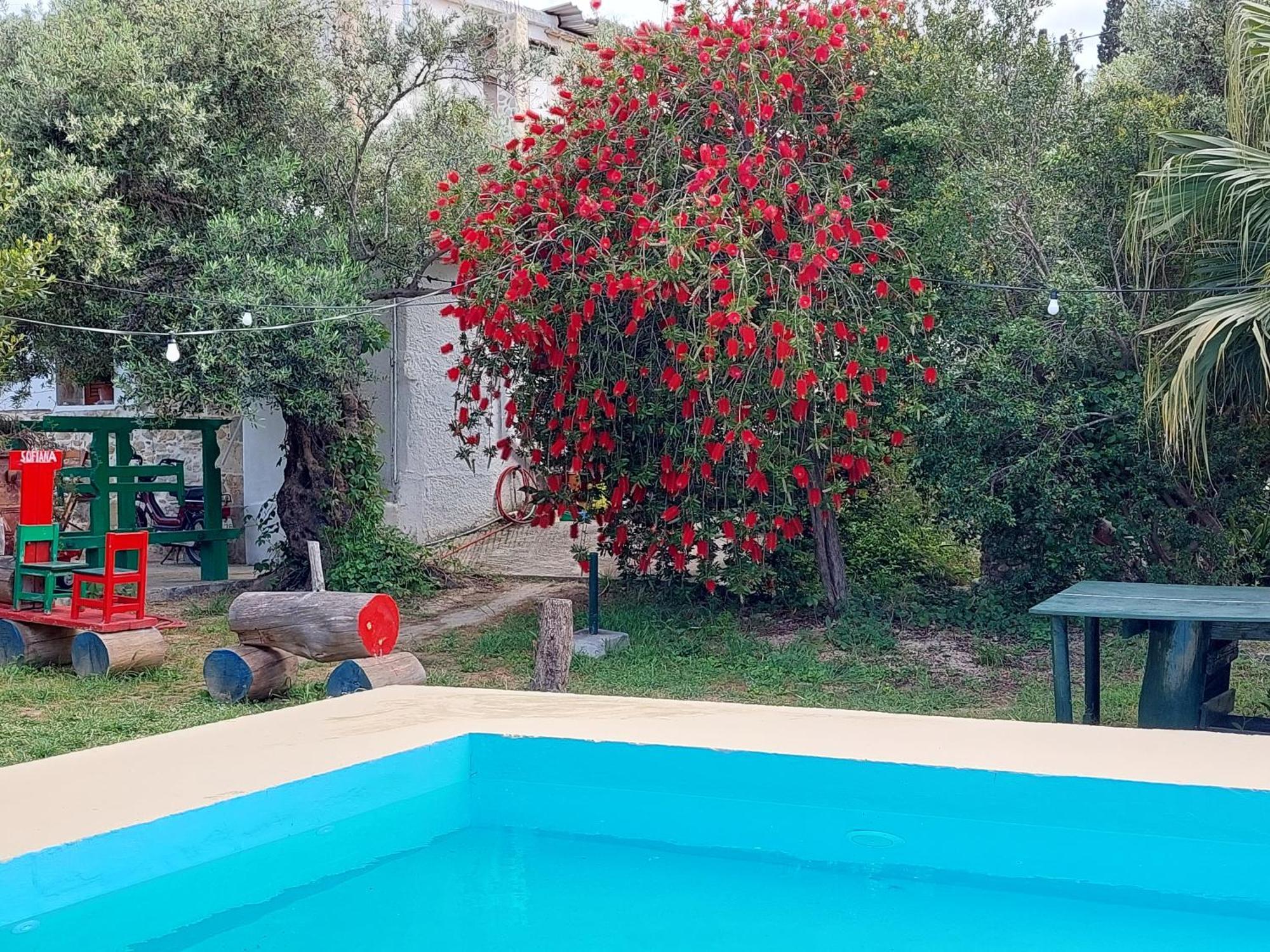 Sofiana'S Garden Retreat With Private Pool Dhrapaniás Quarto foto